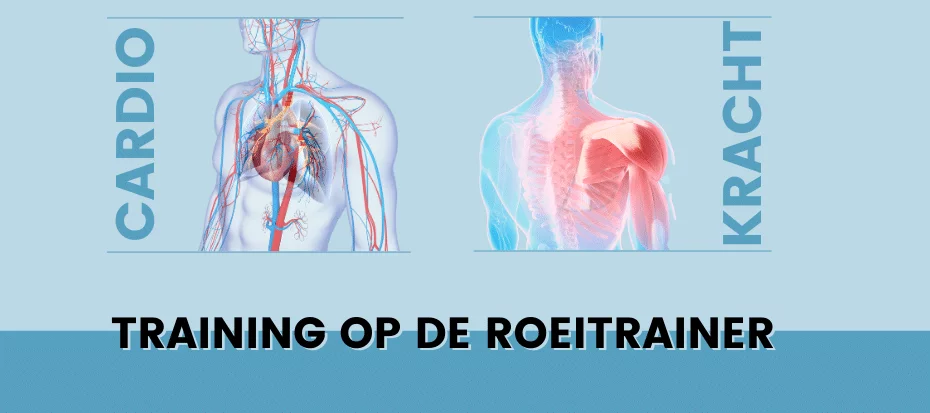 Training op de roeitrainer