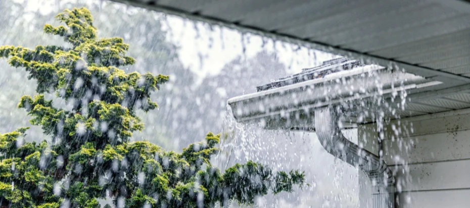 Roeitrainer-gebruiken-herfst-en-winter